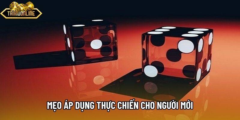 Mẹo áp dụng thực chiến cho người mới Mẹo áp dụng thực chiến cho người mới