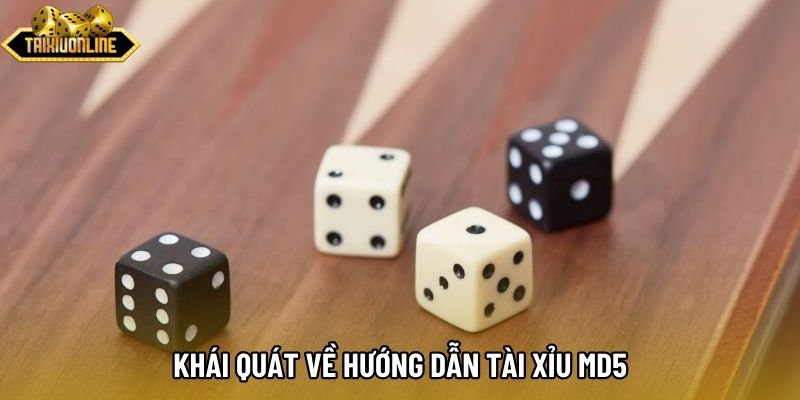 Khái quát về hướng dẫn tài xỉu MD5