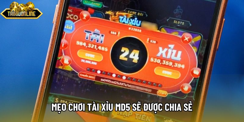 Mẹo chơi tài xỉu md5 sẽ được chia sẻ Mẹo chơi tài xỉu md5 sẽ được chia sẻ